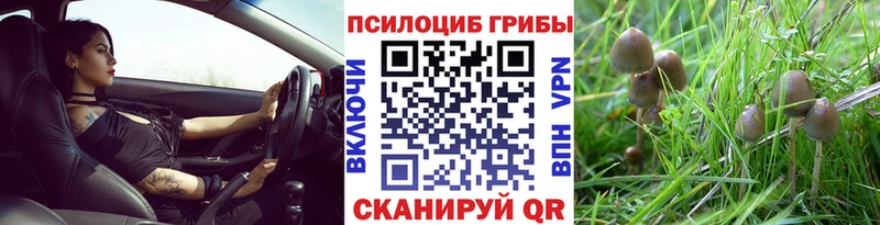 Галлюциногенные грибы мицелий  Купить где  Усть-Илимск 